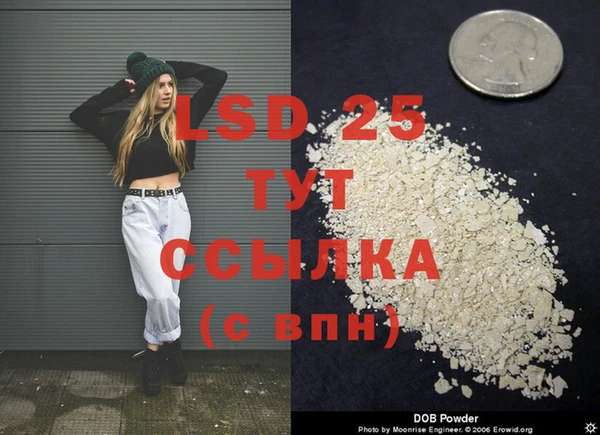 ГАЛЛЮЦИНОГЕННЫЕ ГРИБЫ Магадан