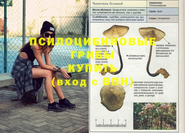 ГАЛЛЮЦИНОГЕННЫЕ ГРИБЫ Магадан
