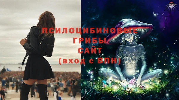 ГАЛЛЮЦИНОГЕННЫЕ ГРИБЫ Магадан
