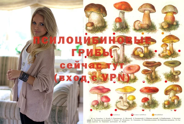 ГАЛЛЮЦИНОГЕННЫЕ ГРИБЫ Магадан