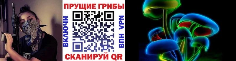 цены наркотик  Тотьма  Псилоцибиновые грибы Psilocybe 